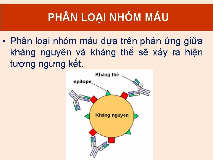 2. PH N Mục LOẠI đích NHÓM truyền. MÁU máu • Phân loại nhóm