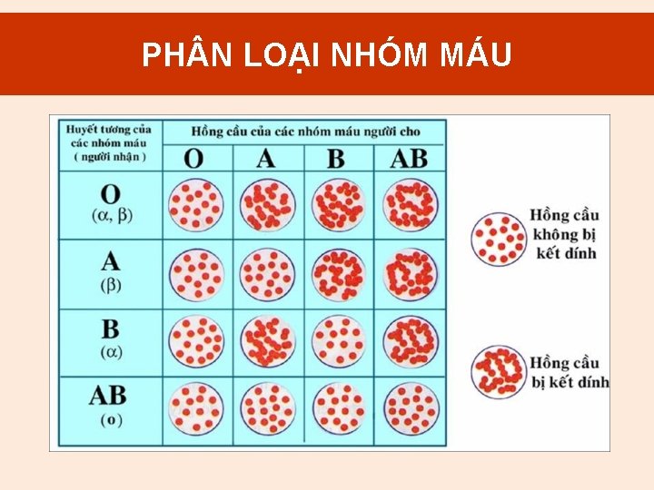 2. PH N Mục LOẠI đích NHÓM truyền. MÁU máu 