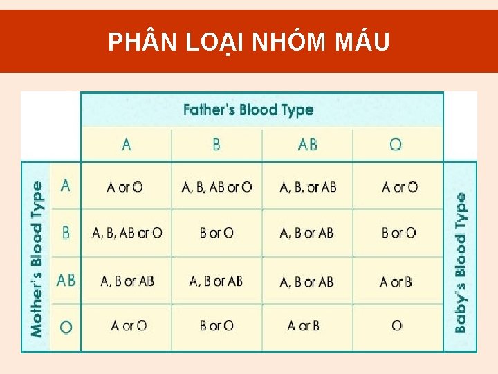 2. PH N Mục LOẠI đích NHÓM truyền. MÁU máu 