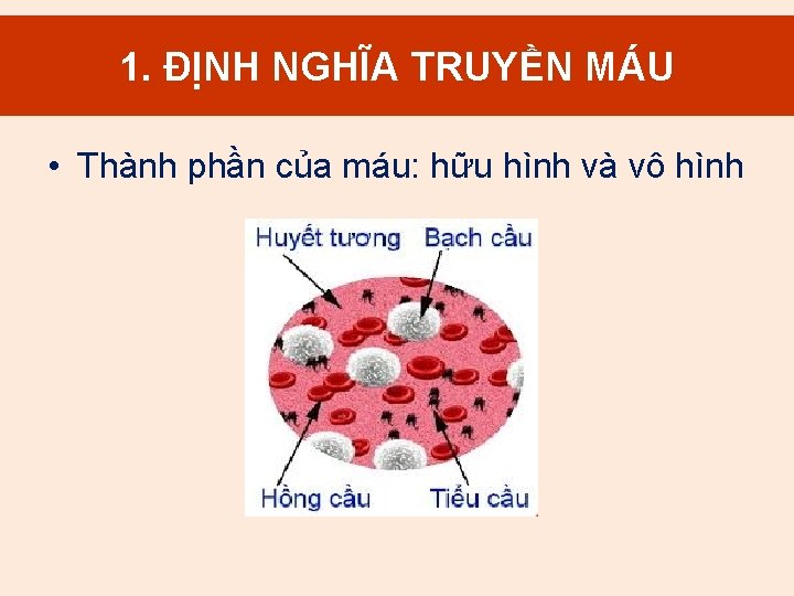 1. MÁU 1. ĐỊNH Định. NGHĨA nghĩa. TRUYỀN truyền máu • Thành phần của