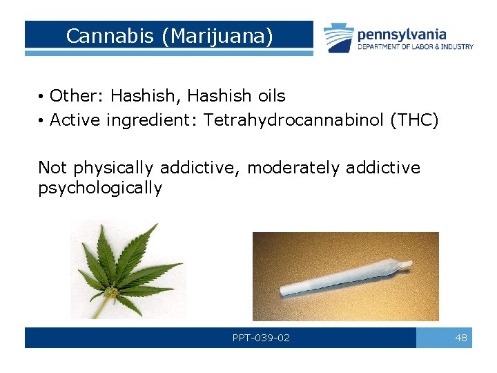Cannabis (Marijuana) • Other: Hashish, Hashish oils • Active ingredient: Tetrahydrocannabinol (THC) Not physically
