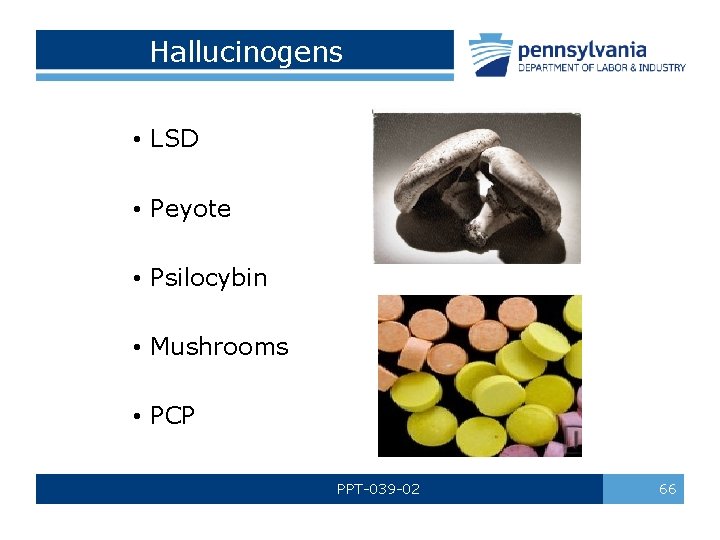 Hallucinogens • LSD • Peyote • Psilocybin • Mushrooms • PCP PPT-039 -02 66