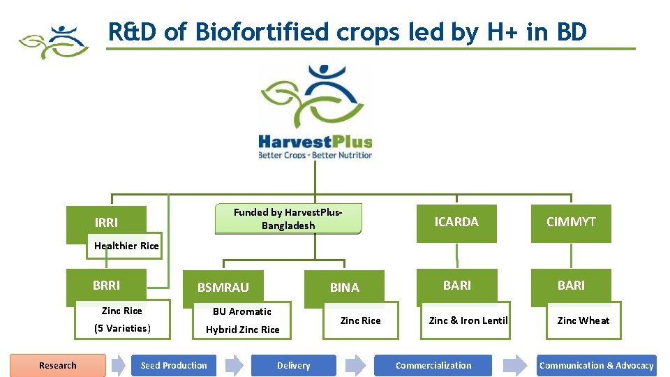 R&D of Biofortified crops led by H+ in BD Funded by Harvest. Plus. Bangladesh