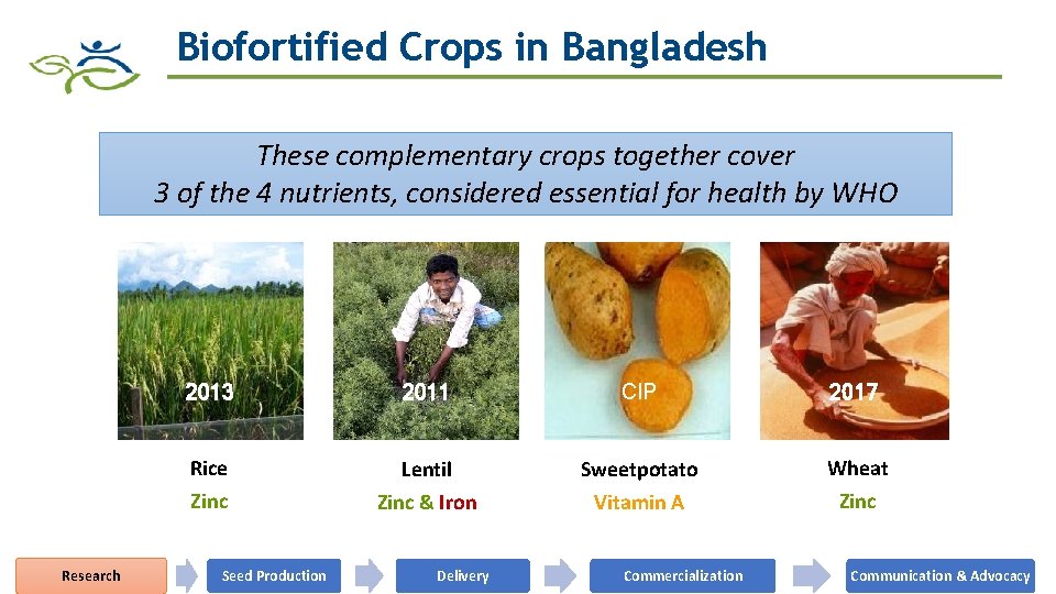 Biofortified Crops in Bangladesh These complementary crops together cover 3 of the 4 nutrients,