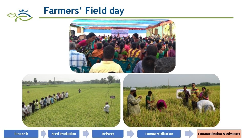 Farmers’ Field day Research Seed Production Delivery Commercialization Communication & Advocacy 