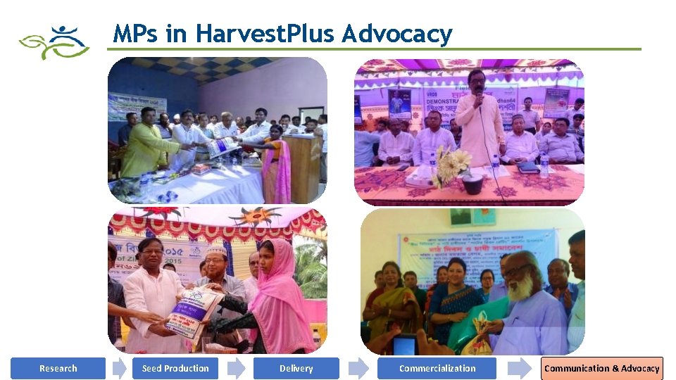 MPs in Harvest. Plus Advocacy Research Seed Production Delivery Commercialization Communication & Advocacy 