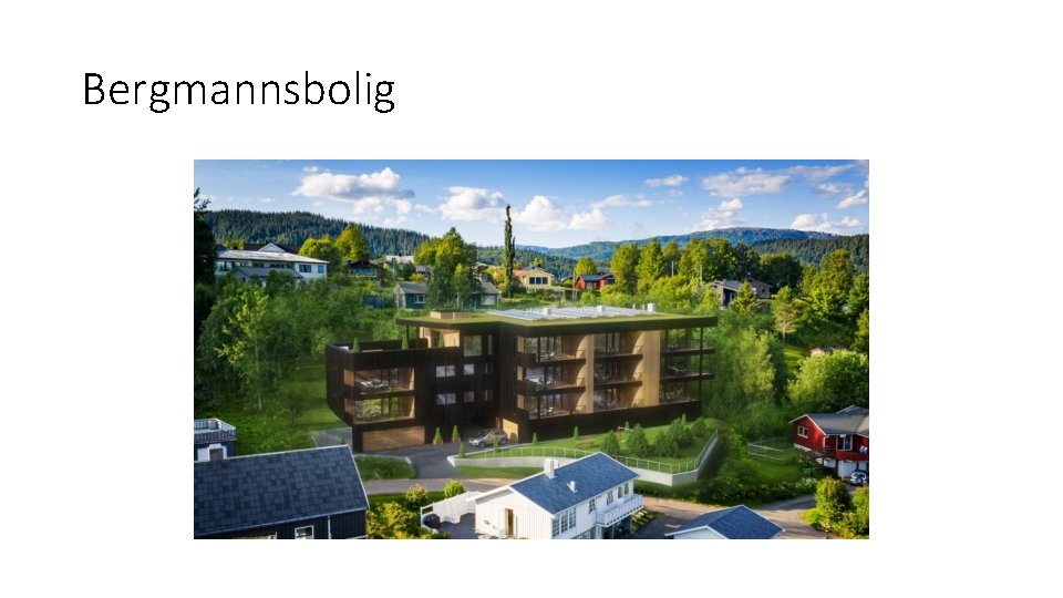 Bergmannsbolig 