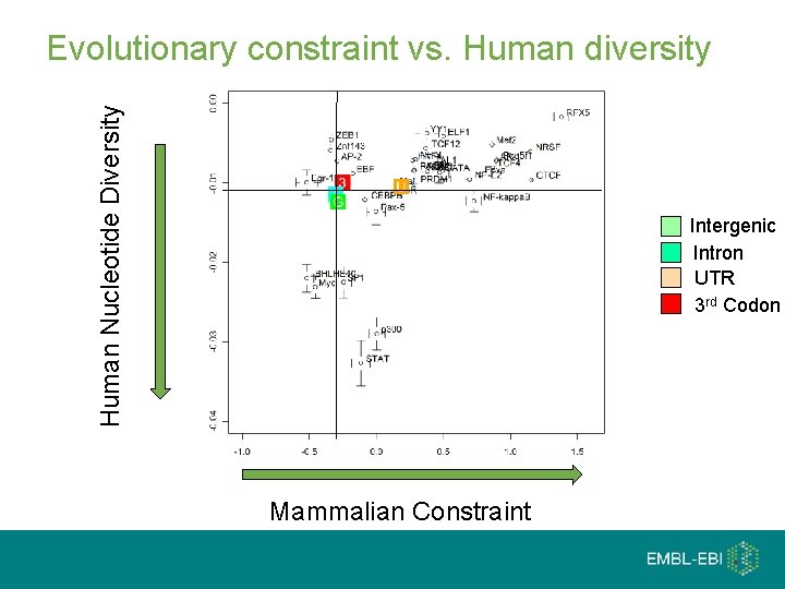 Human Nucleotide Diversity Evolutionary constraint vs. Human diversity Intergenic Intron UTR 3 rd Codon