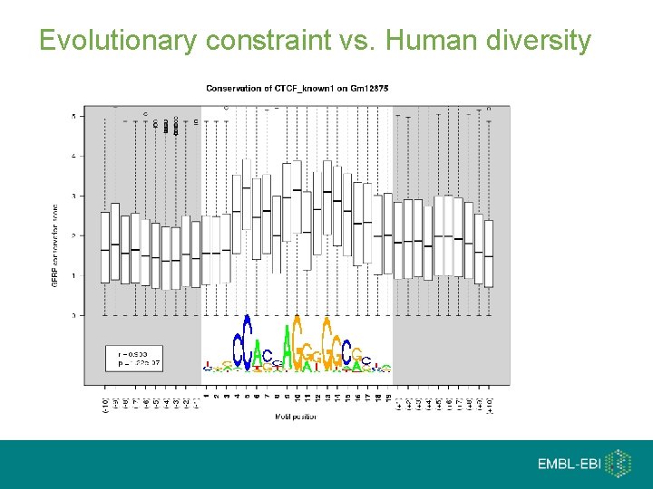 Evolutionary constraint vs. Human diversity 