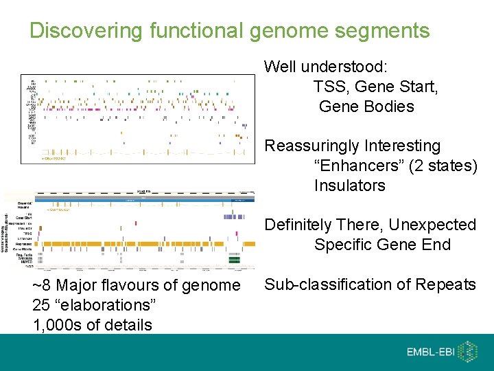 Discovering functional genome segments Well understood: TSS, Gene Start, Gene Bodies Reassuringly Interesting “Enhancers”