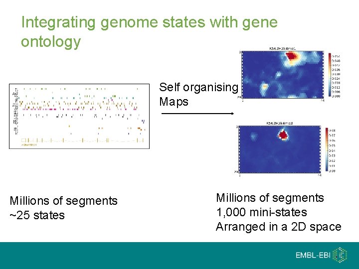 Integrating genome states with gene ontology Self organising Maps Millions of segments ~25 states
