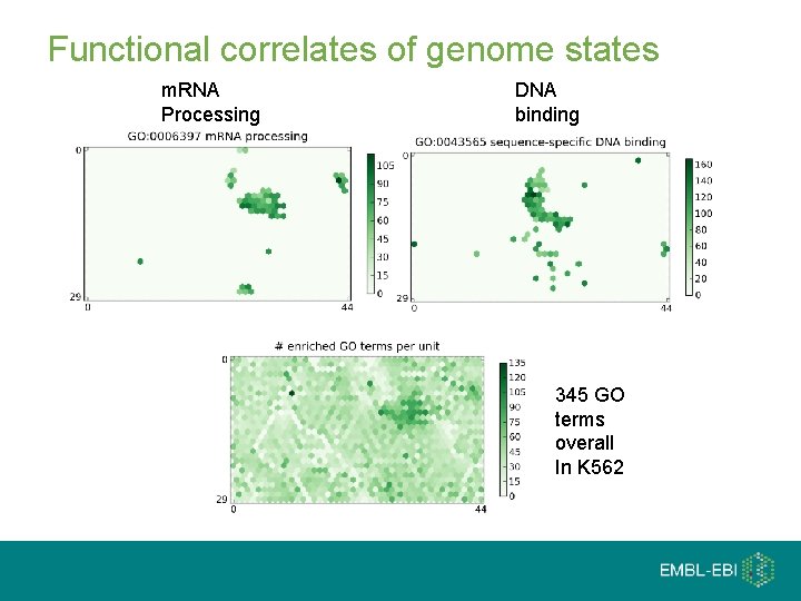 Functional correlates of genome states m. RNA Processing DNA binding 345 GO terms overall