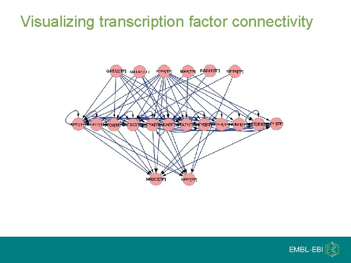 Visualizing transcription factor connectivity 