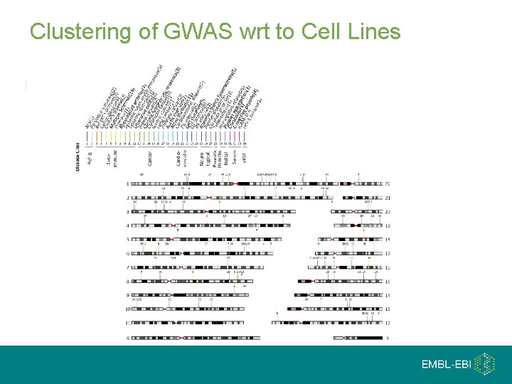 Clustering of GWAS wrt to Cell Lines 