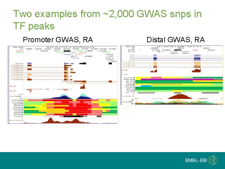 Two examples from ~2, 000 GWAS snps in TF peaks Promoter GWAS, RA Distal