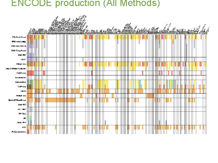ENCODE production (All Methods) 