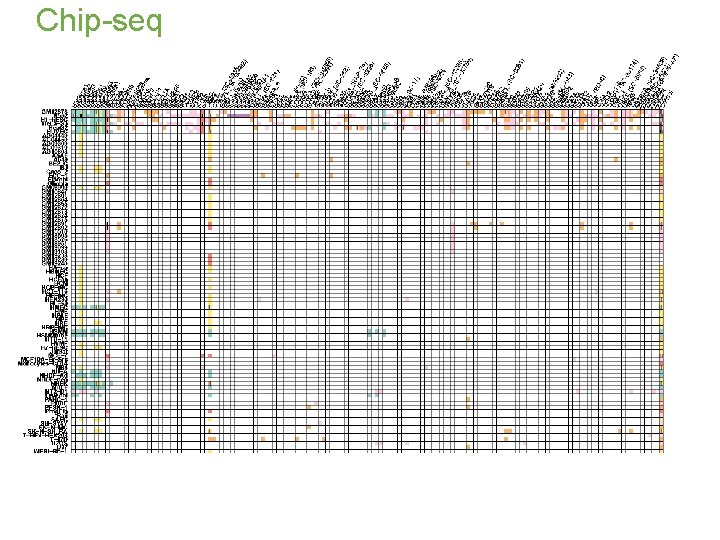 Chip-seq 