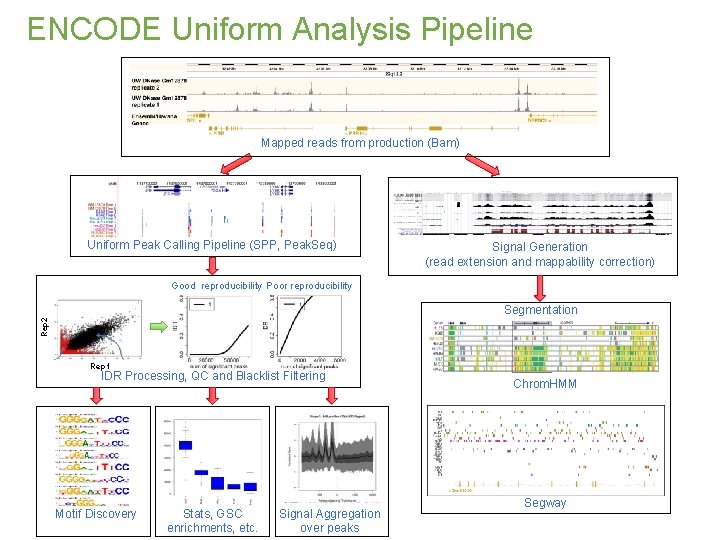 ENCODE Uniform Analysis Pipeline Mapped reads from production (Bam) Uniform Peak Calling Pipeline (SPP,