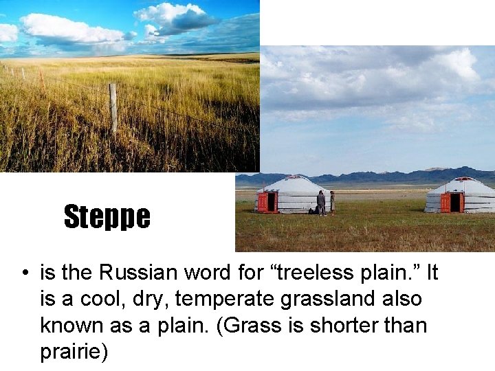 Steppe • is the Russian word for “treeless plain. ” It is a cool,