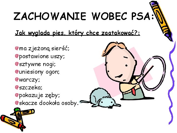 ZACHOWANIE WOBEC PSA: Jak wyglada pies, który chce zaatakować? : ma zjeżoną sierść; postawione