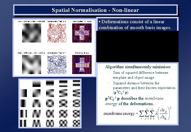 Spatial Normalisation - Non-linear • Deformations consist of a linear combination of smooth basis
