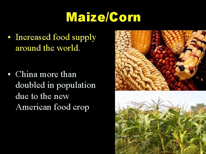Maize/Corn • Increased food supply around the world. • China more than doubled in