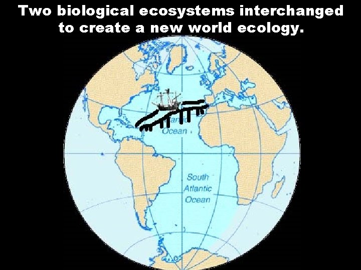 Two biological ecosystems interchanged to create a new world ecology. 