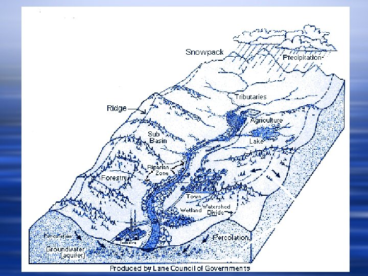 Features of a Typical Watershed Overland flow Groundwater flow Reef 