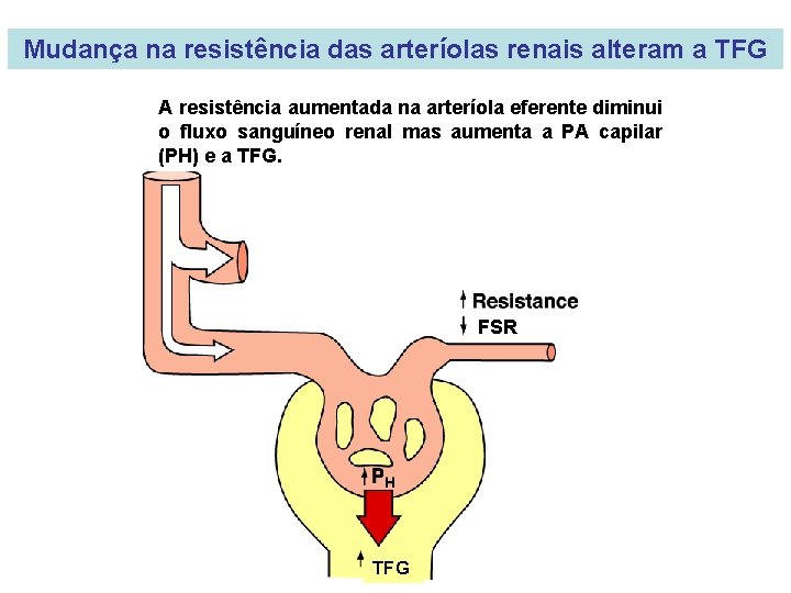 Mudança na resistência das arteríolas renais alteram a TFG A resistência aumentada na arteríola