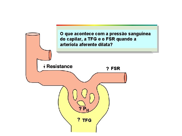 O que acontece com a pressão sanguínea do capilar, a TFG e o FSR