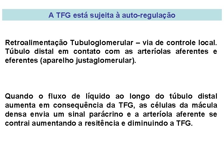 A TFG está sujeita à auto-regulação Retroalimentação Tubuloglomerular – via de controle local. Túbulo