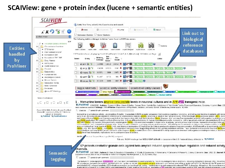 SCAIView: gene + protein index (lucene + semantic entities) Link out to biological reference