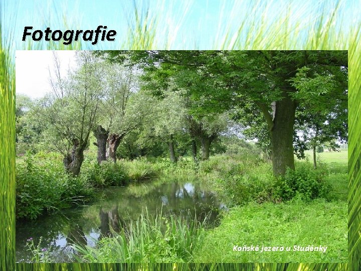 Fotografie Koňské jezero u Studénky 