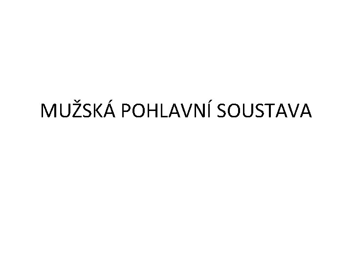 MUŽSKÁ POHLAVNÍ SOUSTAVA 