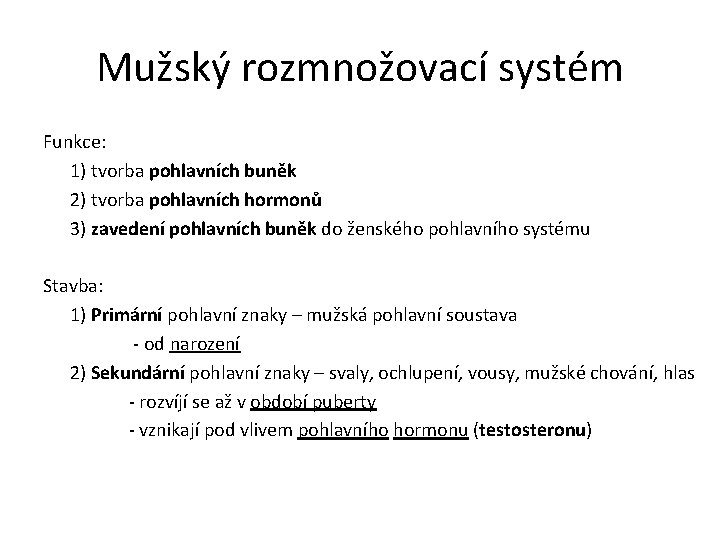 Mužský rozmnožovací systém Funkce: 1) tvorba pohlavních buněk 2) tvorba pohlavních hormonů 3) zavedení