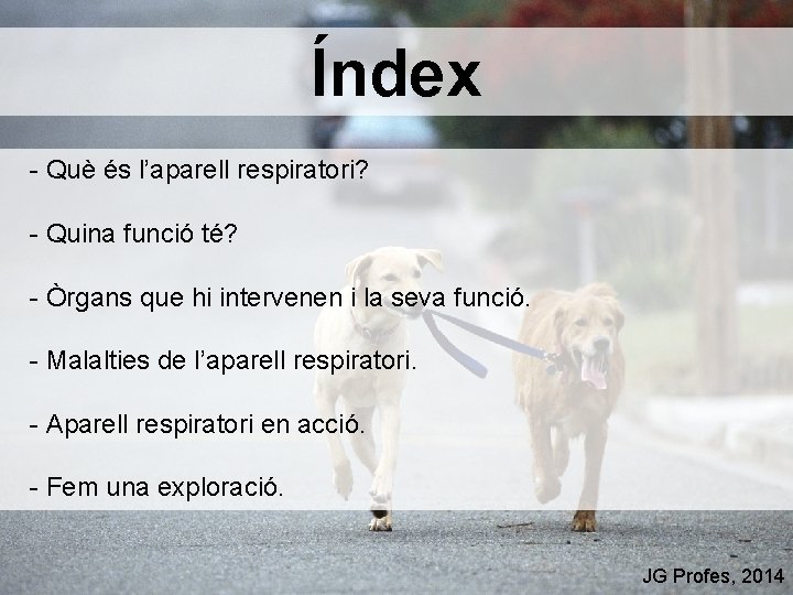 Índex - Què és l’aparell respiratori? - Quina funció té? - Òrgans que hi