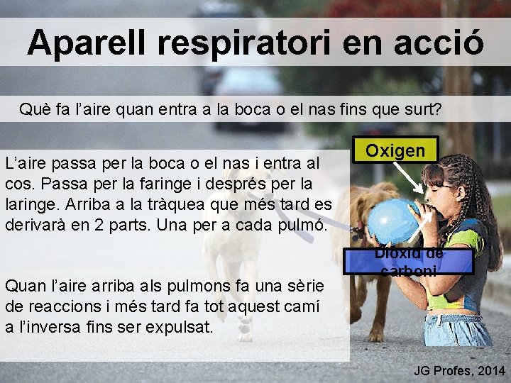 Aparell respiratori en acció Què fa l’aire quan entra a la boca o el
