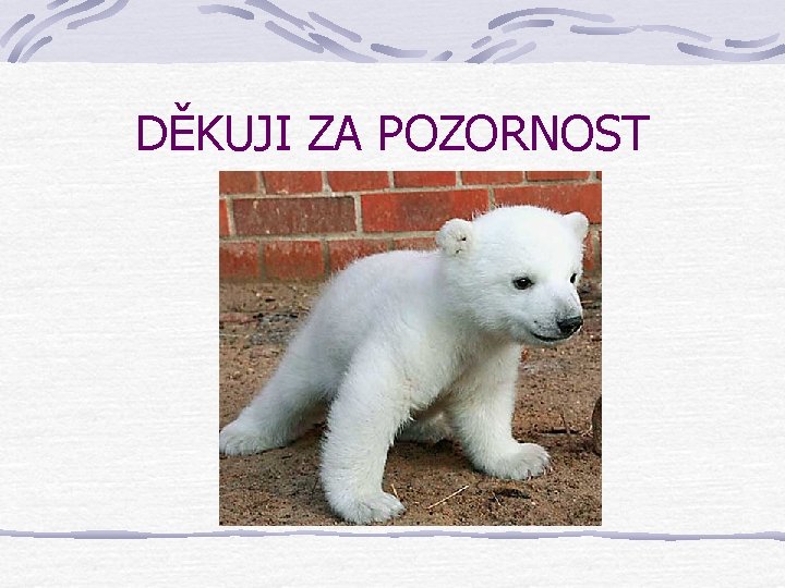 DĚKUJI ZA POZORNOST 