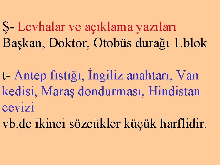 Ş- Levhalar ve açıklama yazıları Başkan, Doktor, Otobüs durağı 1. blok t- Antep fıstığı,