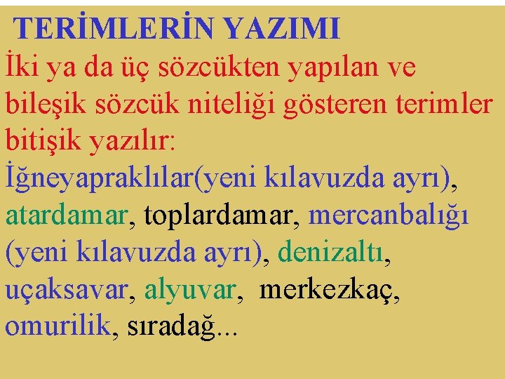  TERİMLERİN YAZIMI İki ya da üç sözcükten yapılan ve bileşik sözcük niteliği gösteren