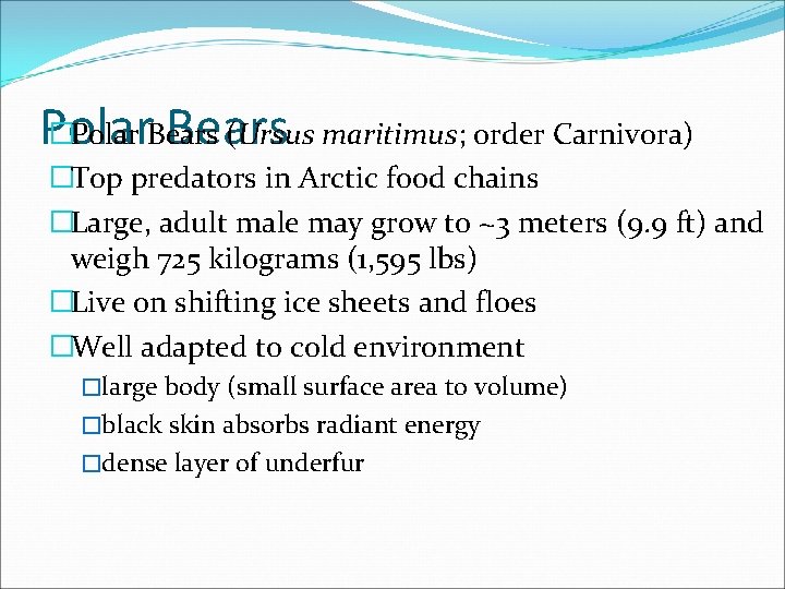 �Polar Bears (Ursus maritimus; order Carnivora) Polar Bears �Top predators in Arctic food chains