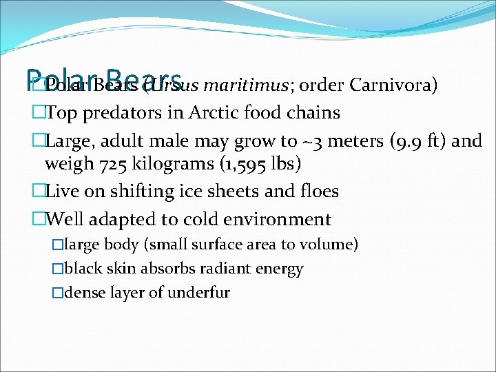 �Polar Bears (Ursus maritimus; order Carnivora) Polar Bears �Top predators in Arctic food chains