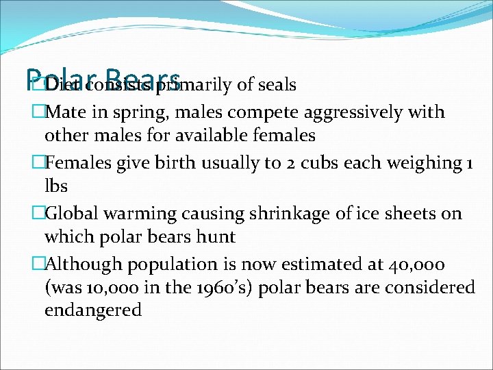 �Diet consists primarily of seals Polar Bears �Mate in spring, males compete aggressively with