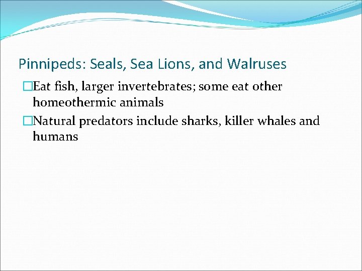 Pinnipeds: Seals, Sea Lions, and Walruses �Eat fish, larger invertebrates; some eat other homeothermic