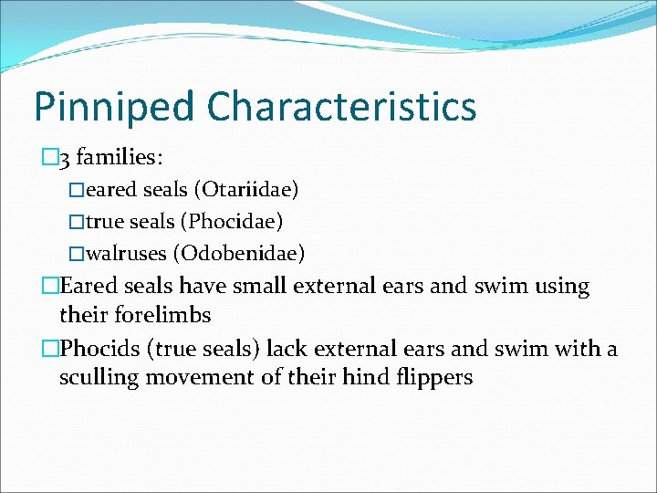 Pinniped Characteristics � 3 families: �eared seals (Otariidae) �true seals (Phocidae) �walruses (Odobenidae) �Eared