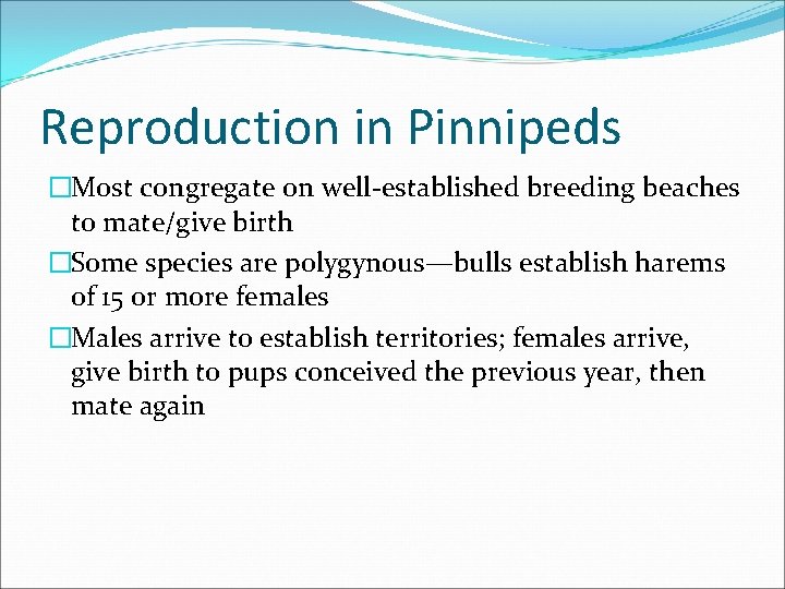 Reproduction in Pinnipeds �Most congregate on well-established breeding beaches to mate/give birth �Some species