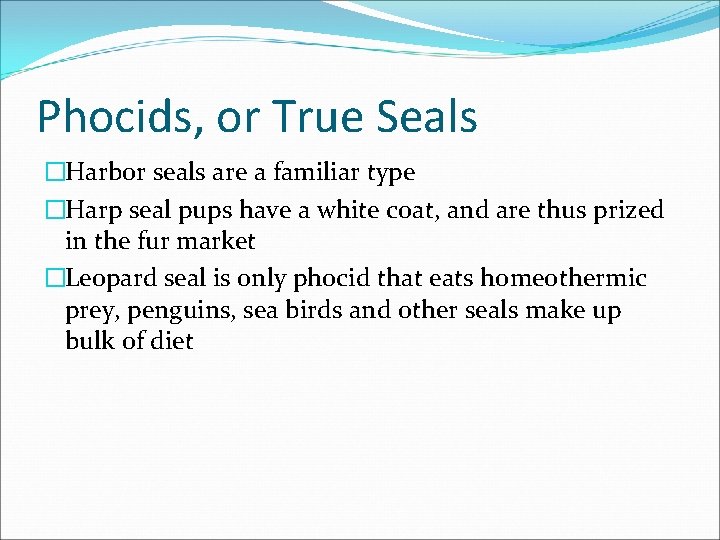 Phocids, or True Seals �Harbor seals are a familiar type �Harp seal pups have