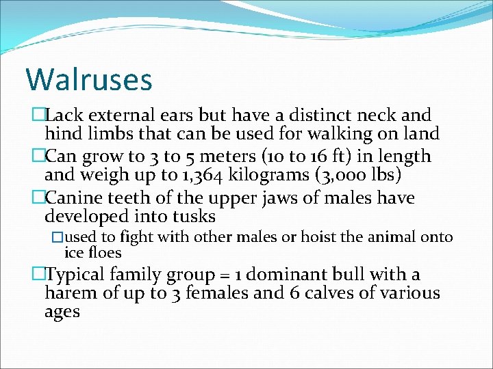 Walruses �Lack external ears but have a distinct neck and hind limbs that can