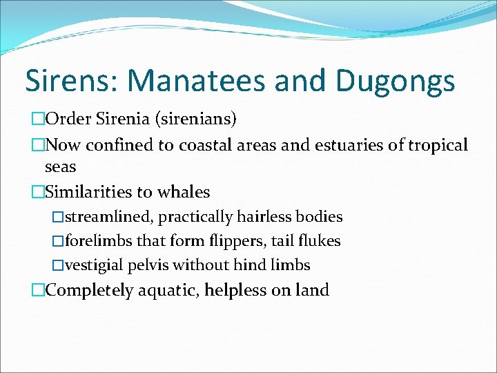 Sirens: Manatees and Dugongs �Order Sirenia (sirenians) �Now confined to coastal areas and estuaries