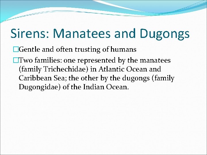 Sirens: Manatees and Dugongs �Gentle and often trusting of humans �Two families: one represented
